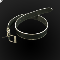 Leather Belt p4